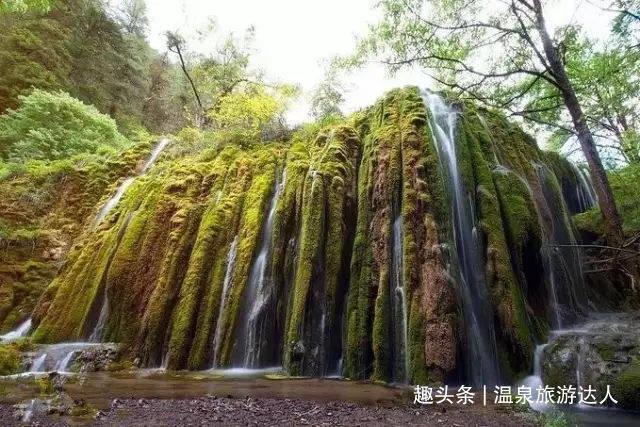 救援瓢虫宝宝