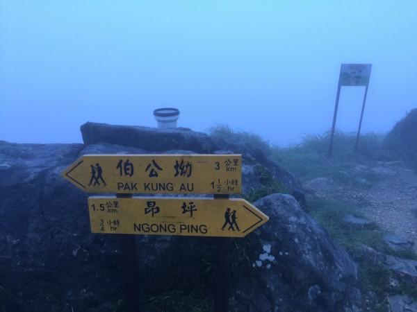 家庭群名称