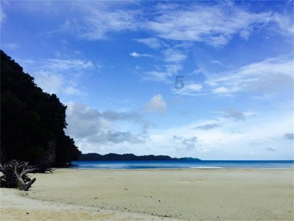 春雨直播app
